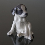 Smooth-haired Terrier sitting looking funny, Royal Copenhagen dog figurine No. 259