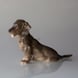 Dachshund, Royal Copenhagen dog figurine no. 856 or 078