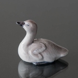 Svaneunge som strækker hals, Royal Copenhagen fugle figur