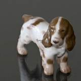 Cockerspaniel, standing looking attentively, Bing & Grondahl figurine no. 2172