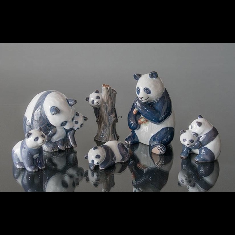 KAD ringen - Royal Copenhagen figurine, panda eating bamboo No. 662 - Royal  Copenhagen figurine, panda eating bamboo No. 662