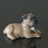Boxer happy with its bone, Royal Copenhagen dog figurine