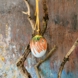 Osterei mit Ringelblume Blätter, Royal Copenhagen Oster 2024