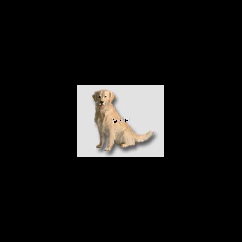 Golden Retriever, Royal hunde nr. 039 | Nr. 1244039 | Alt. 1244039 | Pia Langelund | DPH Trading
