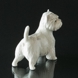 Hund, West Highland Terrier, Royal Copenhagen hunde figur nr. 512