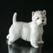Hund, West Highland Terrier, Royal Copenhagen hunde figur nr. 512