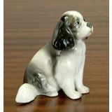 Cavalier King Charles, Royal Copenhagen dog figurine