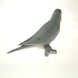 Budgerigar, parakeet in white, Royal Copenhagen bird figurine no. 457