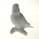 Budgerigar, parakeet in white, Royal Copenhagen bird figurine no. 457