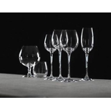 Holmegaard Fontaine champagne glass, capacity 21 cl