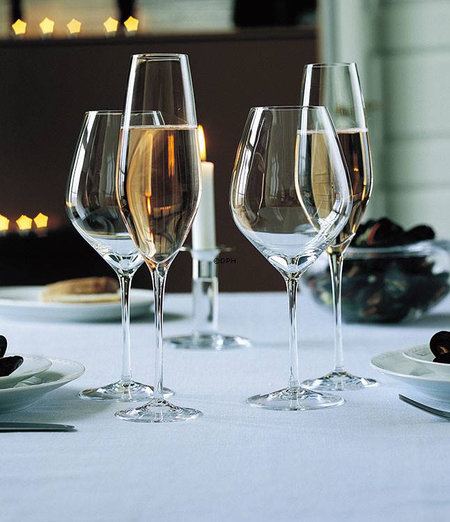 igennem Stå op i stedet Infrarød Holmegaard Cabernet champagne glass, capacity 29 cl., 6 pcs. | No. 4303391  | Peter Svarrer | DPH Trading