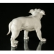 Große Weiße Bulldogge, Bing & Gröndahl Hundefigur Nr. 1605