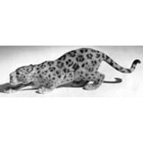 Jaguar, Bing & Grondahl figurine