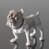 Small Bulldog looking suspicious, Bing & Grondahl dog figurine