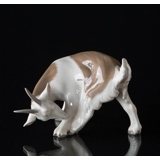 Goat licking, Bing & Grondahl figurine