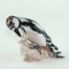 Woodpecker pecking away in the wood, Bing & Grondahl bird figurine No. 1717