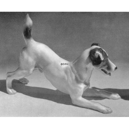 Foxterrier playing, Bing & Grondahl dog figurine No. 1723