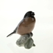 Bullfinch screeching high, Bing & Grondahl bird figurine no. 438 / 1909