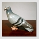 Pigeon looking for bread crumbs, Bing & Grondahl porcelain bird figurine no. 1911