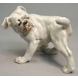 Bulldogge, Bing & Gröndahl Hund Figur nr. 1992