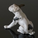 Französische Bulldogge, Bing & Gröndahl Hund Figur Nr. 2000