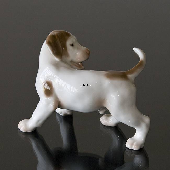 screech marmor elektronisk Pointer hundehvalp, Bing & Grøndahl hunde figur nr. 444 eller 2026 | Nr.  B2026 | Alt. 1020444 | Lauritz Jensen | DPH Trading