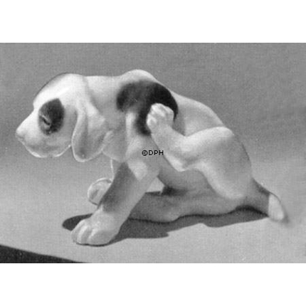 Pointer puppy scratching its side, Bing & Grondahl dog figurine no. 2060