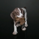 Cocker Spaniel bringt die Beute zurück, Bing & Gröndahl Hund Figur Nr. 2061