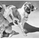 English Setter, Bing & Grondahl dog figurine no. 2062