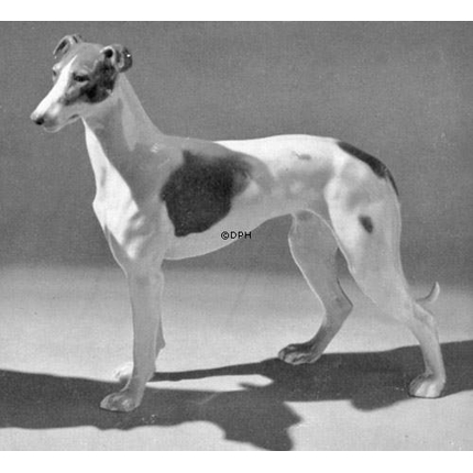 Stehender Greyhound, 20cm, Bing & Gröndahl Hundefigur Nr. 2076