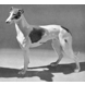 Stående Greyhound, 20cm, Bing & Grøndahl hundefigur nr. 2076