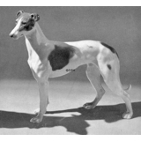 Standing Greyhound, 20cm, Bing & Grondahl dog figurine