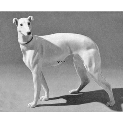Greyhound stehend, Bing & Gröndahl Hund Figur nr. 2078