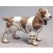 Springer spaniel standing at attention, Bing & Grondahl dog figurine No. 2095