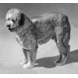 Bobtail, Bing & Gröndahl Hund Figur Nr. 2116