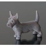 Stående Skotsk Terrier, 7,5cm, Bing & Grøndahl hunde figur