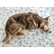 Lille Liggende Hyrdehund, Bing & Grøndahl hundefigur nr. 2198