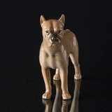 Bokserhund, Bing & Grøndahl hundefigur nr. 2212