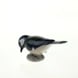 Great Tit with beak down, Bing & Grondahl bird figurine No. 2323