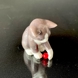 Katze Bing & Gröndahl Muttertagsfigur (Mit Fehler ohne Ball)