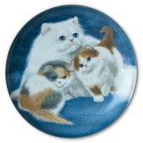 Bing & Groendahl Cat Portraits plate with Persian and kittens