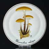 Plate in the Mushroom-series, Velvet Shank, Bing & Grondahl