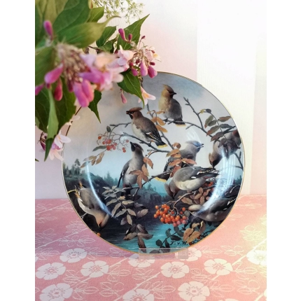 Bradex Teller aus der Serie "Vollwertige Sänger", Seidenschwanz