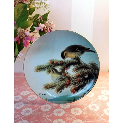 Bradex Teller aus der Serie "Vollwertige Sänger", Grünfink