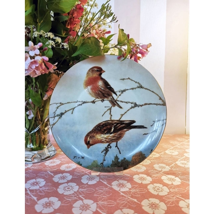 Bradex Teller aus der Serie "Vollwertige Sänger", Grauschnäpper auf der Aussicht