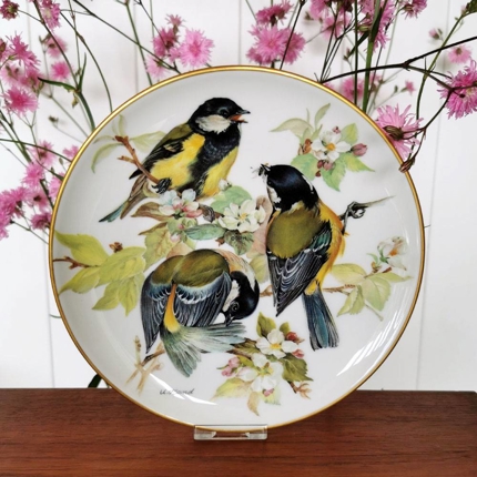 Kohlmeise, Teller Nr. 5 in der Serie "Europäische Singvögel", Tirschenreuth