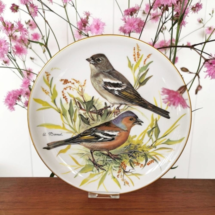 Buchfink, Teller Nr. 7 in der Serie "Europäische Singvögel", Tirschenreuth