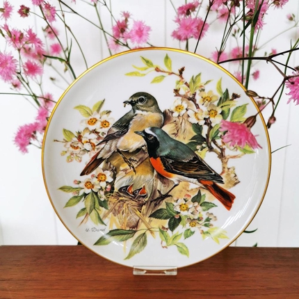 Gartenrotschwanz, Teller Nr. 8 in der Serie "Europäische Singvögel", Tirschenreuth