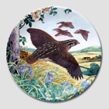 Plate no 5 in the series "European Wild Birds", Royal Grafton