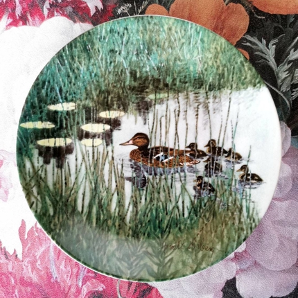 Teller Nr. 8 in der Serie "Augenblick in der Natur", Rörstrand